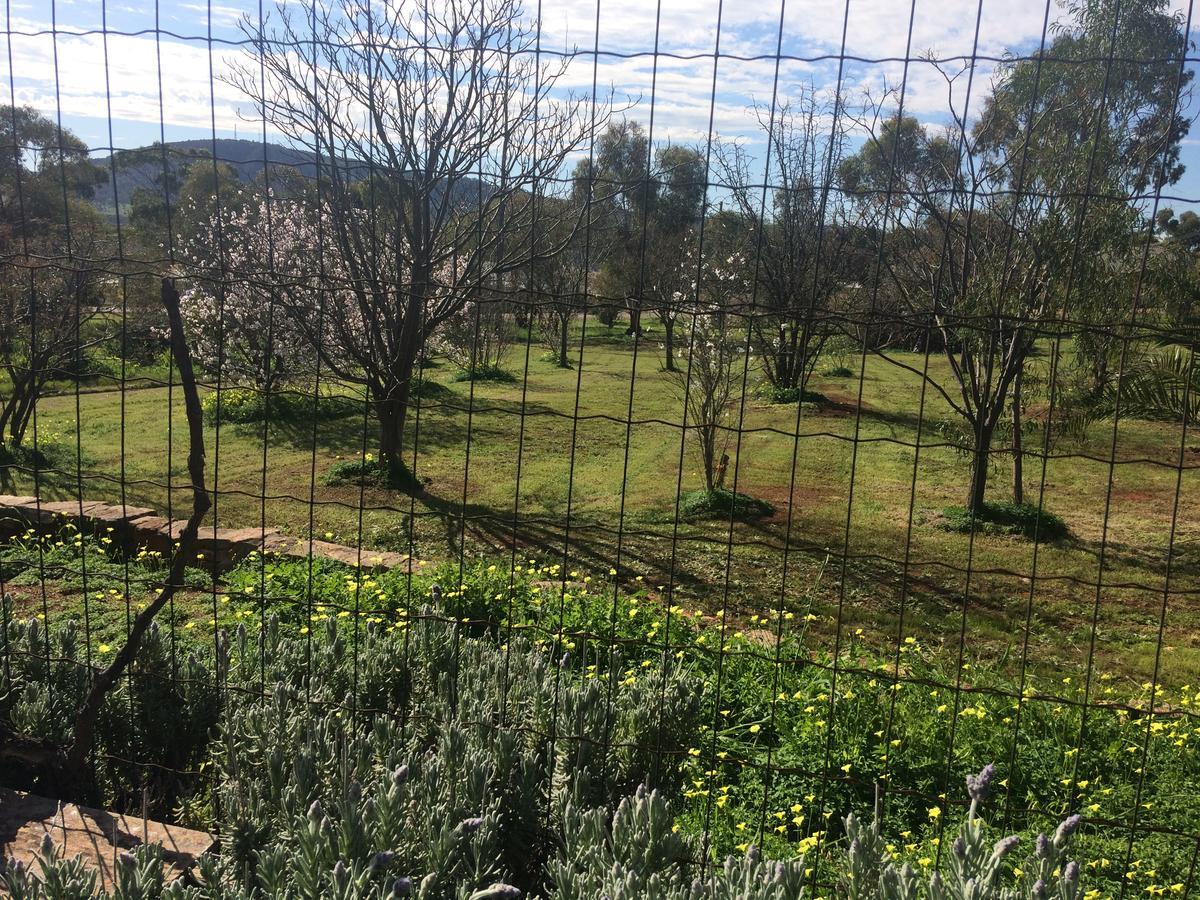 York'S Lookout Lodge Bed And Breakfast Esterno foto